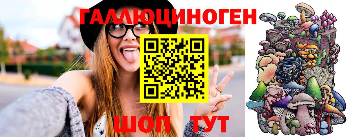 Псилоцибиновые грибы Psilocybe  Вход с VPN  Костомукша 