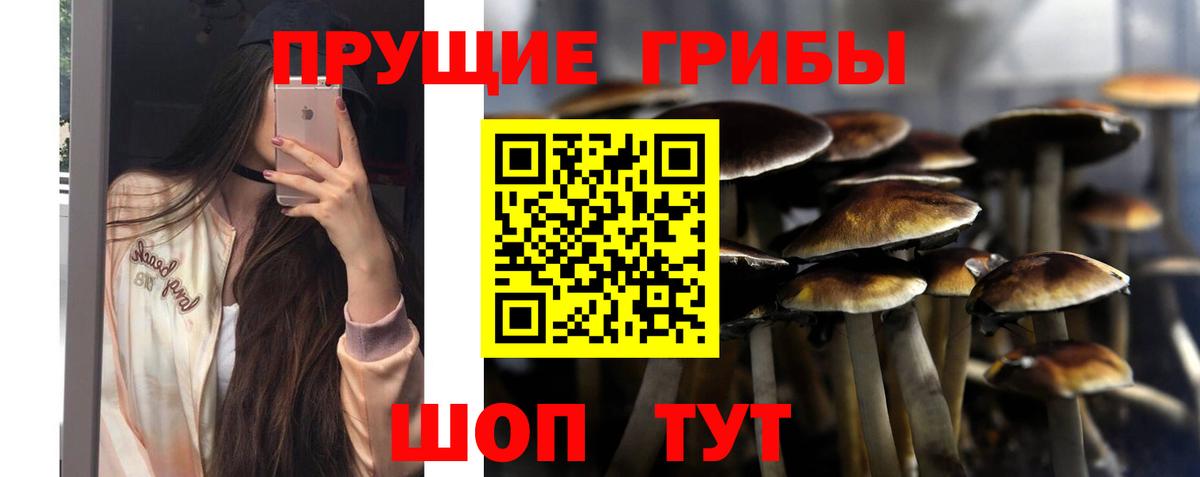 Псилоцибиновые грибы мицелий Костомукша